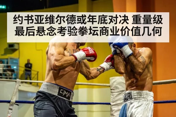 约书亚维尔德或年底对决 重量级最后悬念考验拳坛商业价值几何